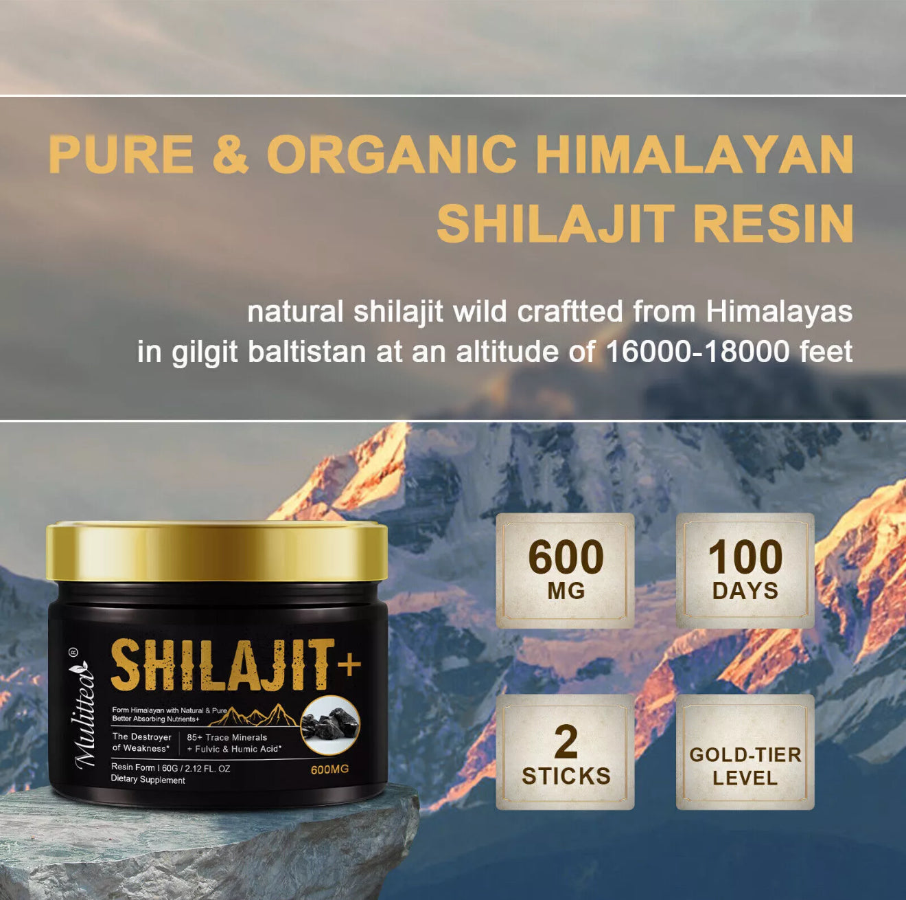 Reines Shilajit-Resin